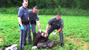 David Sweat regresa a la prisión